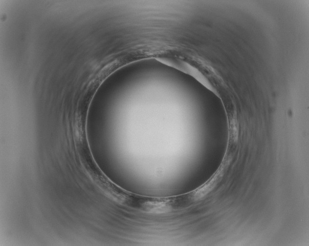X0000078850170200611271356