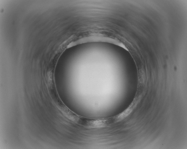 X0000078850184200611271356