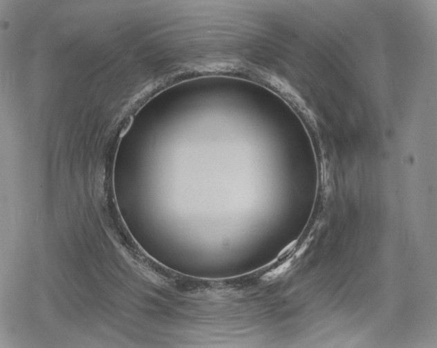 X0000078850201200611271355
