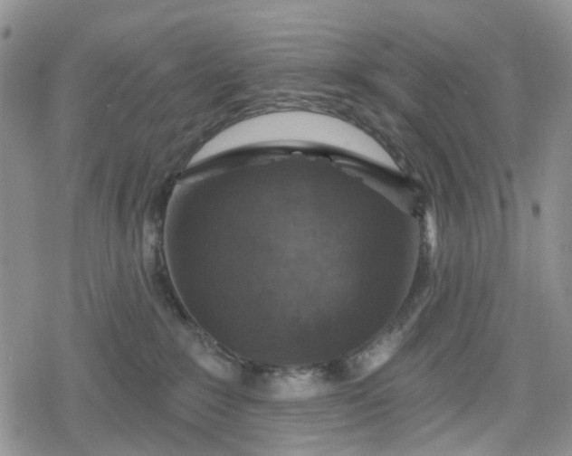 X0000078850235200611271355