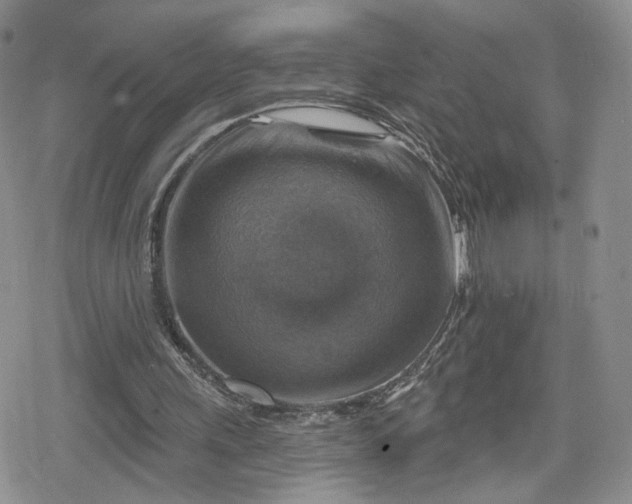 X0000078850243200611271354