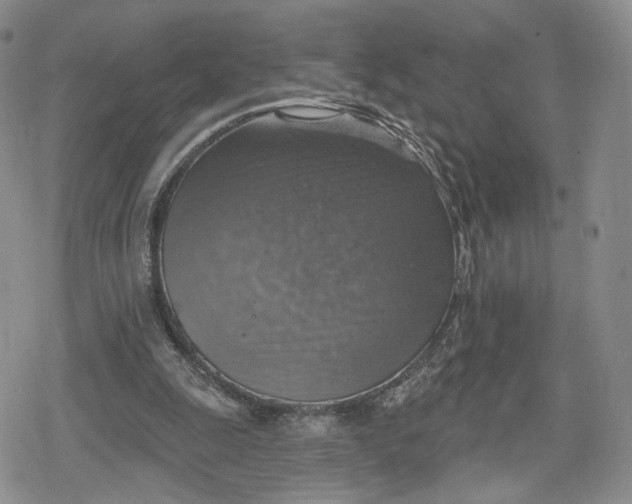 X0000078850247200611271354