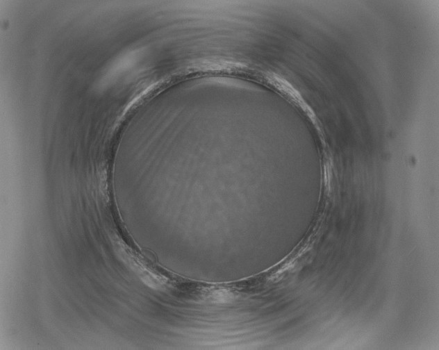 X0000078850249200611271354