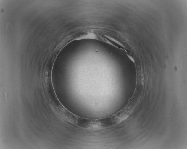 X0000078850263200611271354
