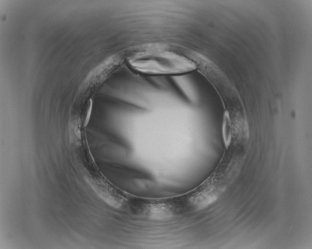 X0000078850264200611271354