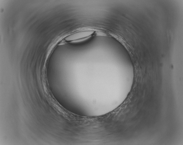 X0000078850289200611271354