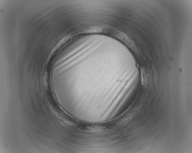 X0000078850300200611271353