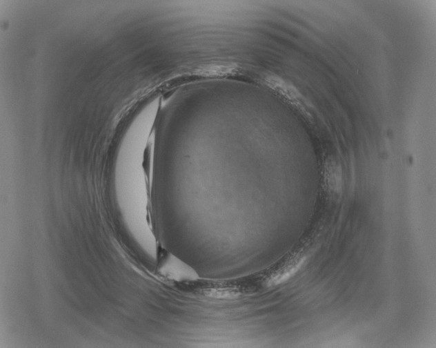 X0000078850303200611271353