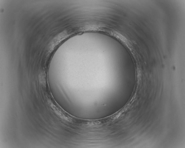 X0000078850345200611271352