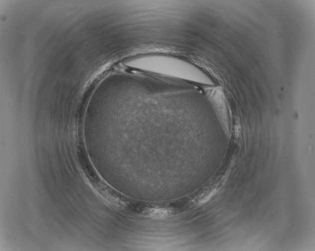X0000078850352200611271352