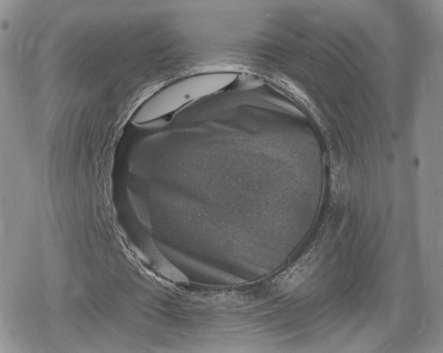 X0000078850385200611271352