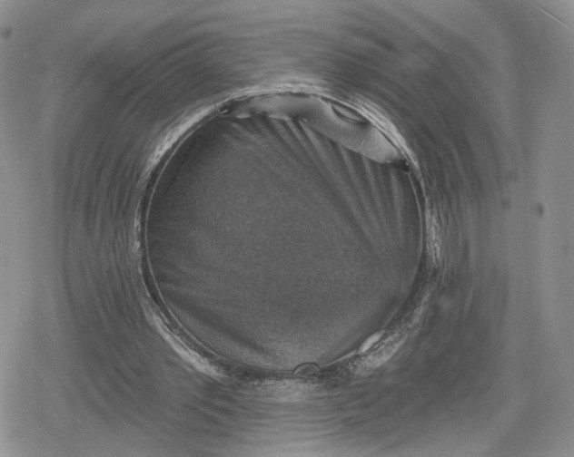 X0000078850389200611271352