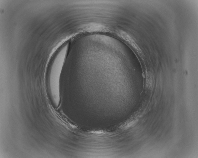 X0000078850391200611271352