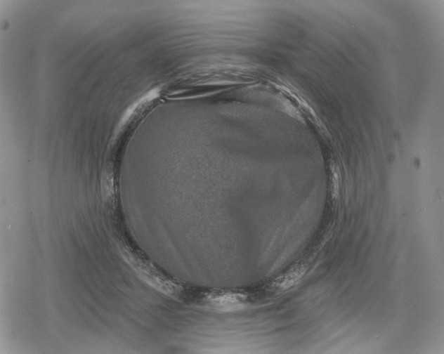 X0000078850407200611271352