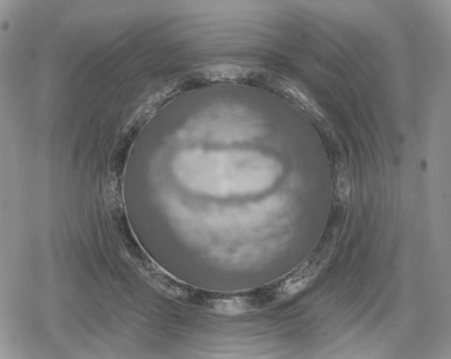 X0000078850411200611271352