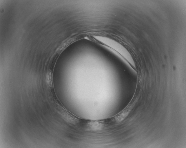 X0000078850425200611271351