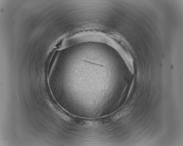 X0000078850442200611271351