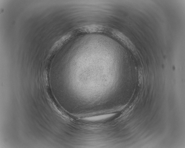 X0000078850453200611271351