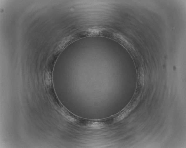 X0000078850467200611271351