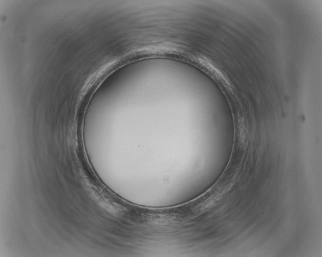 X0000078850486200611271350