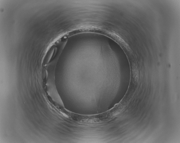 X0000078850488200611271350