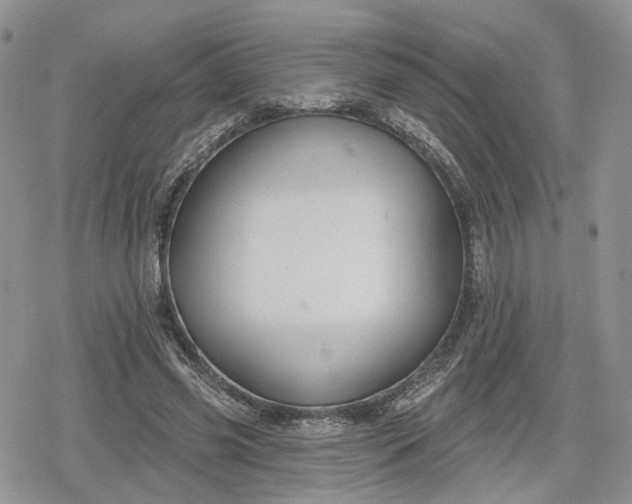 X0000078850541200611271349