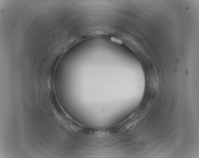 X0000078850546200611271349
