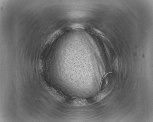 X0000078850571200611271350