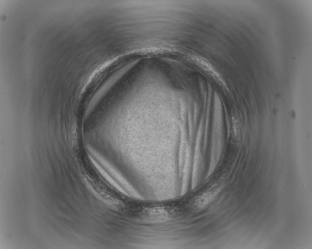 X0000078850588200611271349