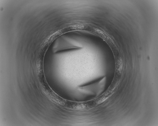 X0000078850600200611271349