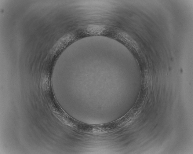 X0000078850641200611271348