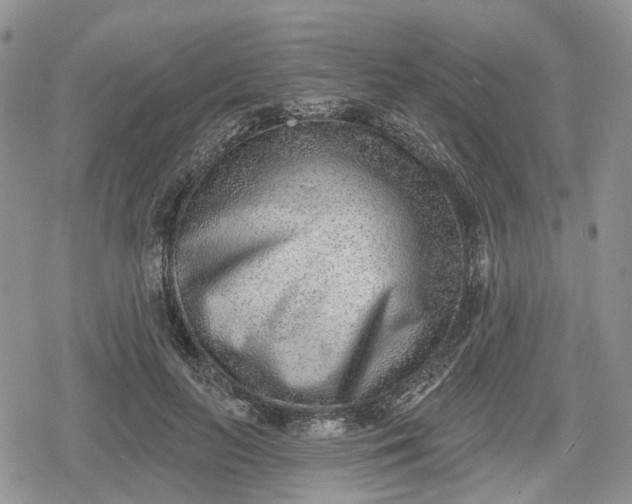 X0000078850647200611271348