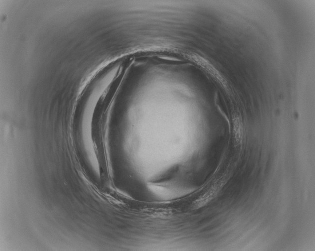 X0000078850676200611271347