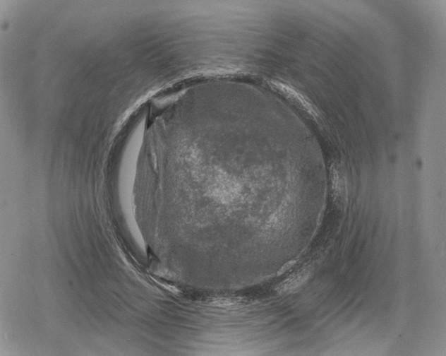 X0000078850684200611271347