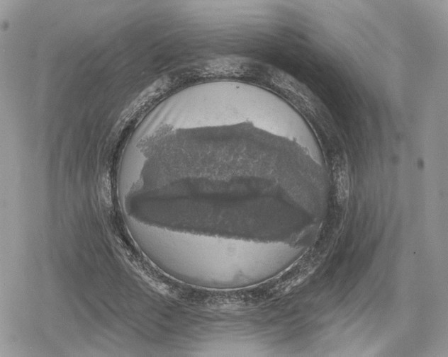 X0000078850729200611271346