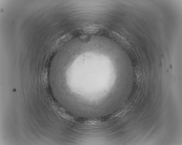 X0000078850745200611271346