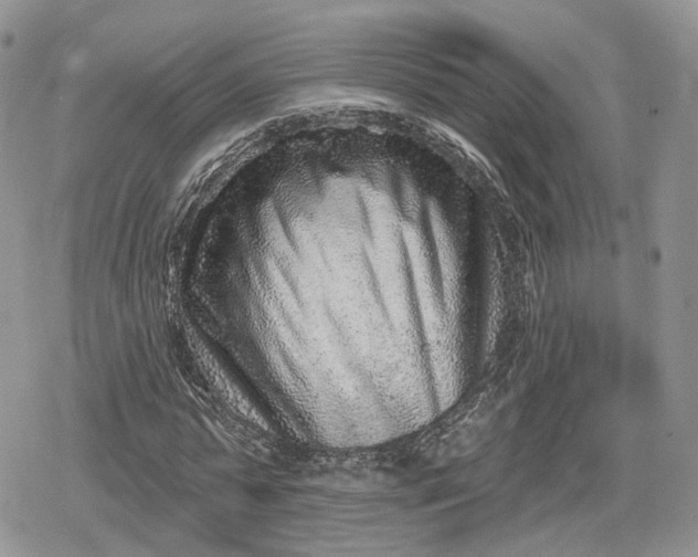X0000078850775200611271346