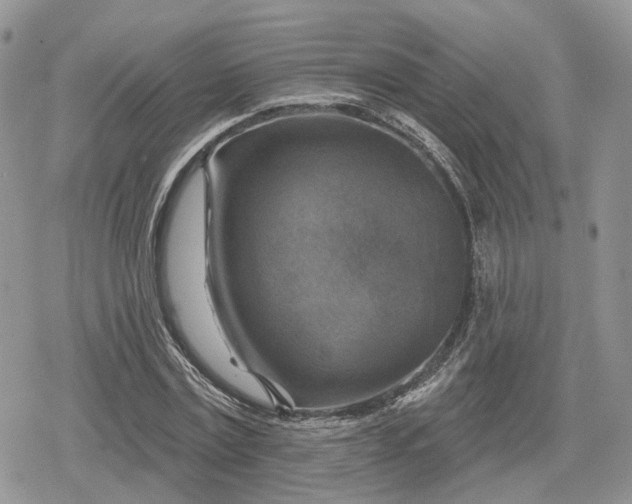 X0000078850779200611271346