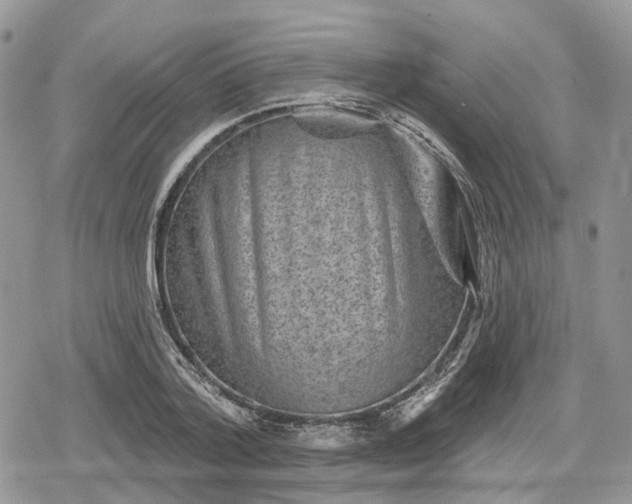 X0000078850788200611271346