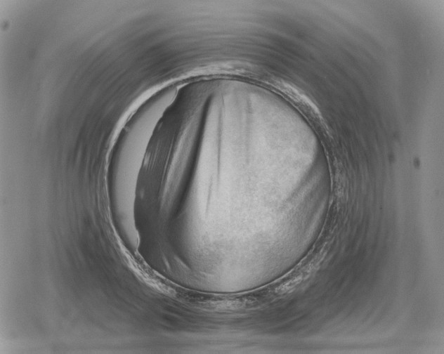 X0000078850792200611271346