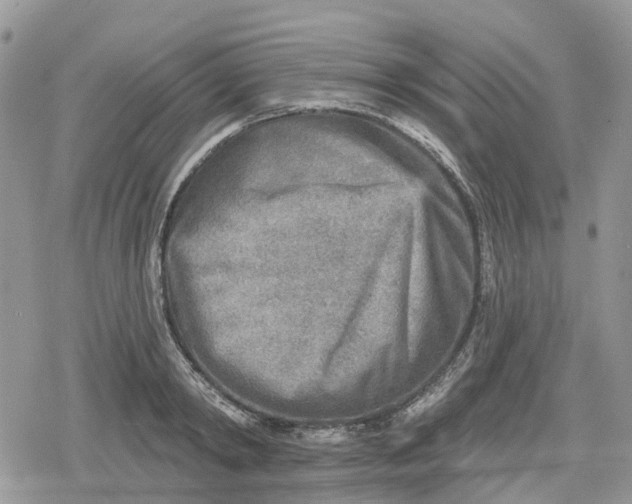 X0000078850798200611271345