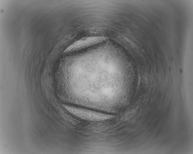 X0000078850817200611271344