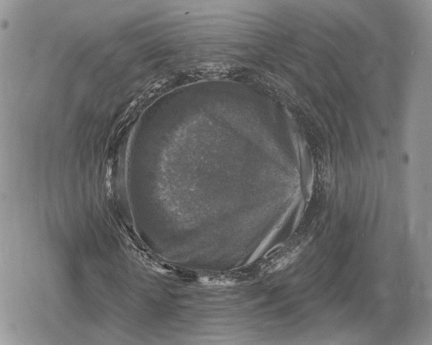 X0000078850818200611271344