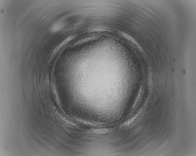 X0000078850825200611271344