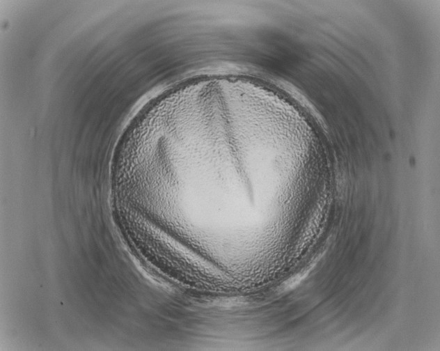 X0000078850845200611271345