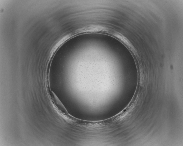 X0000078850850200611271345