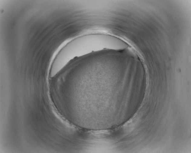 X0000078850864200611271345
