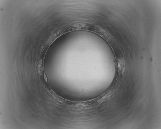 X0000078850867200611271344