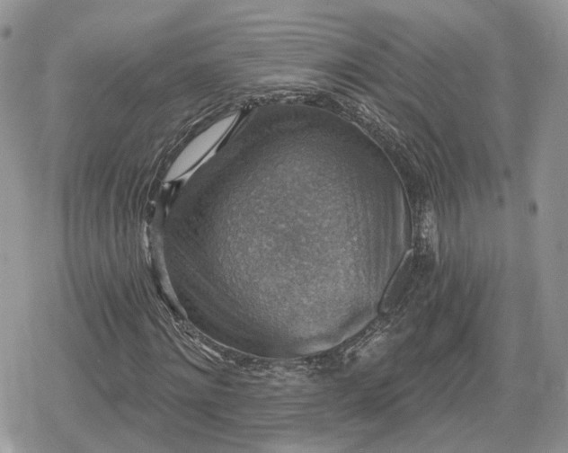 X0000078850868200611271344