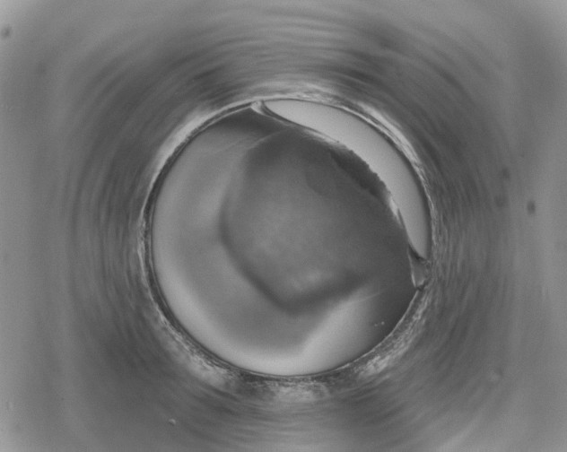 X0000078850899200611271344